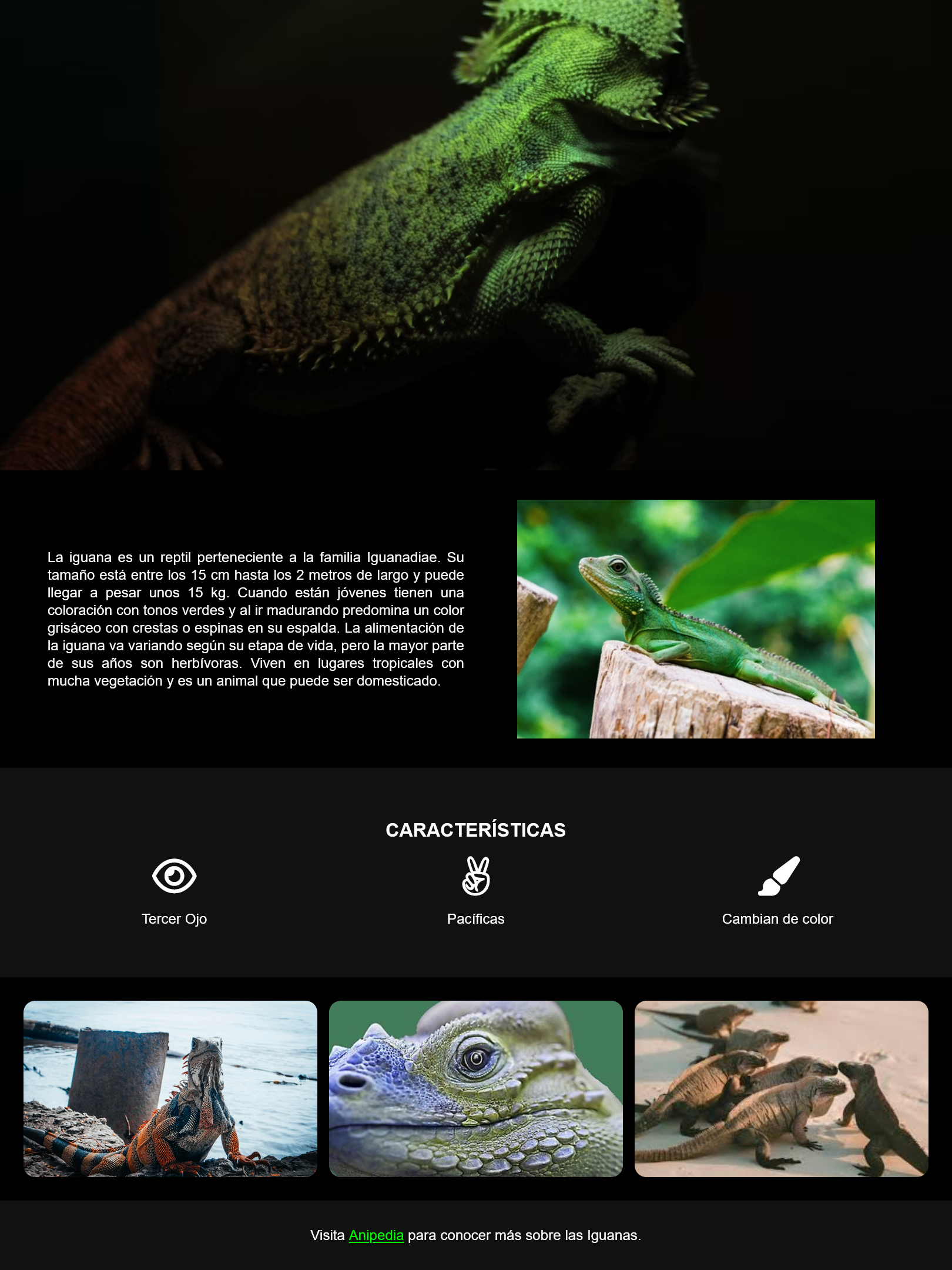 Iguana Page